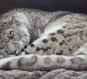 Robert Bateman's