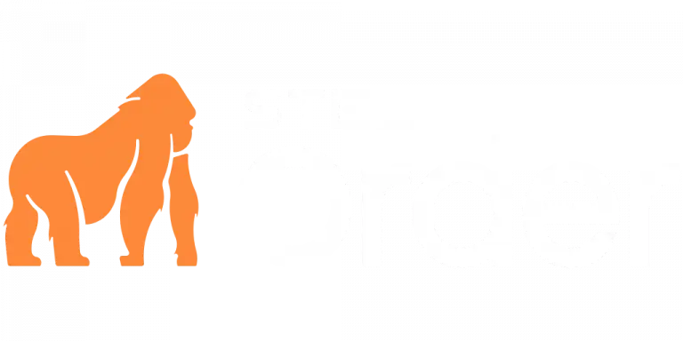 Gestión de Negocios