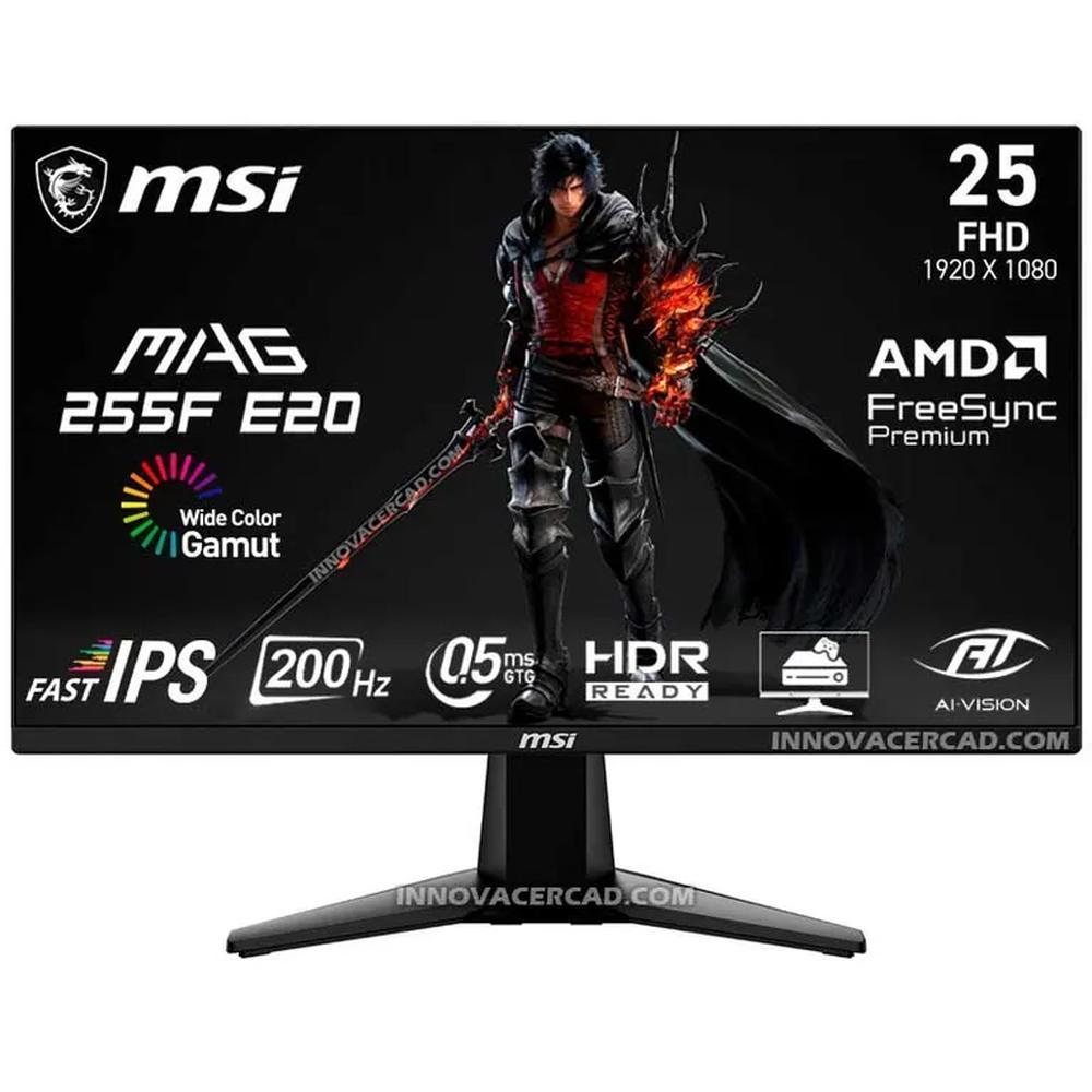 MON 25 MS 255F E20 200HZ FHD