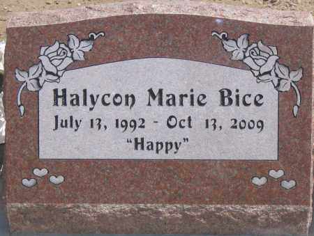 BICE, HALYCON MARIE - Graham County, Arizona | HALYCON MARIE BICE - Arizona Gravestone Photos