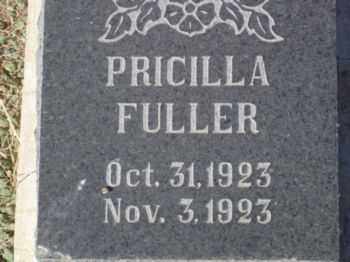 FULLER, PRICILLA - Graham County, Arizona | PRICILLA FULLER - Arizona Gravestone Photos
