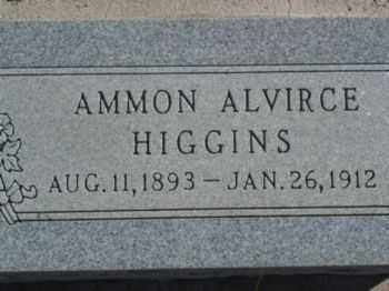 HIGGINS, AMMON ALVIRCE - Graham County, Arizona | AMMON ALVIRCE HIGGINS - Arizona Gravestone Photos