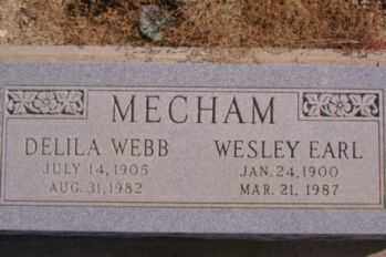 WEBB MECHAM, DELILA - Graham County, Arizona | DELILA WEBB MECHAM - Arizona Gravestone Photos