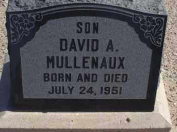 MULLENAUX, DAVID A. - Graham County, Arizona | DAVID A. MULLENAUX - Arizona Gravestone Photos