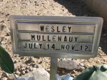 MULLENAUX, WESLEY THOMAS - Graham County, Arizona | WESLEY THOMAS MULLENAUX - Arizona Gravestone Photos