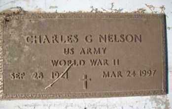 NELSON, CHARLES - Graham County, Arizona | CHARLES NELSON - Arizona Gravestone Photos