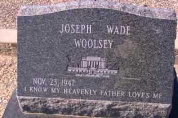 WOOLSEY, JOSEPH WADE - Graham County, Arizona | JOSEPH WADE WOOLSEY - Arizona Gravestone Photos