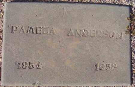 ANDERSON, PAMELA JOYCE - Maricopa County, Arizona | PAMELA JOYCE ANDERSON - Arizona Gravestone Photos