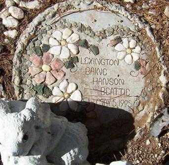 BEATTIE, LEXINGTON BAINE HANSON - Maricopa County, Arizona | LEXINGTON BAINE HANSON BEATTIE - Arizona Gravestone Photos