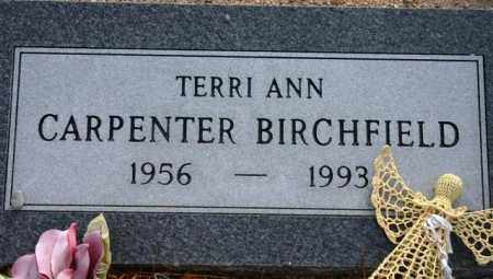CARPENTER BIRCHFIELD, TERRI ANN - Maricopa County, Arizona | TERRI ANN CARPENTER BIRCHFIELD - Arizona Gravestone Photos