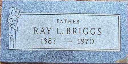 BRIGGS, RAY L. - Maricopa County, Arizona | RAY L. BRIGGS - Arizona Gravestone Photos
