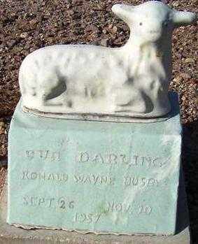 BUSBY, RONALD WAYNE - Maricopa County, Arizona | RONALD WAYNE BUSBY - Arizona Gravestone Photos