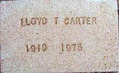 CARTER, LLOYD D. - Maricopa County, Arizona | LLOYD D. CARTER - Arizona Gravestone Photos