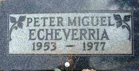 ECHEVERRIA, PETER MIGUEL - Maricopa County, Arizona | PETER MIGUEL ECHEVERRIA - Arizona Gravestone Photos