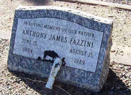 FAZZINI, ANTHONY JAMES - Maricopa County, Arizona | ANTHONY JAMES FAZZINI - Arizona Gravestone Photos