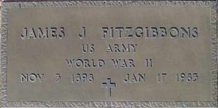 FITZGIBBONS, JAMES J - Maricopa County, Arizona | JAMES J FITZGIBBONS - Arizona Gravestone Photos
