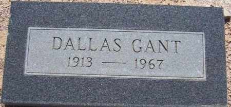 GANT, DALLAS COOPER - Maricopa County, Arizona | DALLAS COOPER GANT - Arizona Gravestone Photos