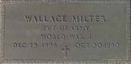 MILTER, WALLACE - Maricopa County, Arizona | WALLACE MILTER - Arizona Gravestone Photos