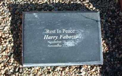 FABOZZI, HARRY S. - Yavapai County, Arizona | HARRY S. FABOZZI - Arizona Gravestone Photos