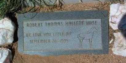 WISE, ROBERT THOMAS HALLETT - Yavapai County, Arizona | ROBERT THOMAS HALLETT WISE - Arizona Gravestone Photos