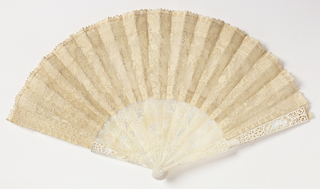 Pleated Fan And Case