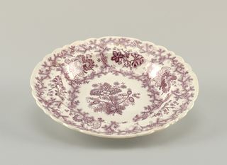 "Coral Border" Plate