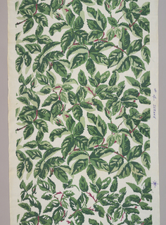 Screen Print Development (USA)