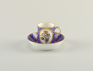 Cup and Saucer Cup And Saucer