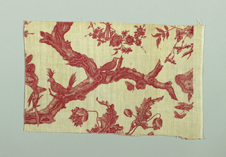 Fragments, Le manteau royal