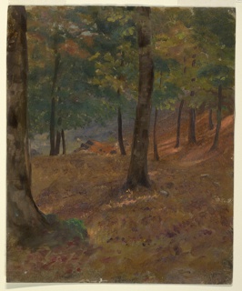 Drawing, Woodland Scene