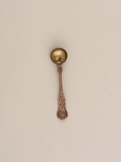 Salt Spoon Spoon