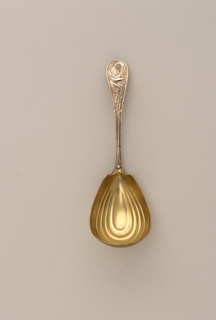 Tea Caddy Spoon Spoon