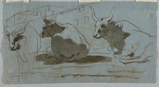 Drawing, Sketches of Bulls