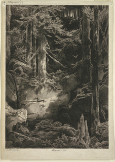 Print, A Forest Glen