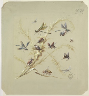 Drawing, Textile or Wallpaper Design: Insects