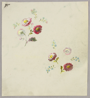 Drawing, from "Saint Germain - Volumes 1 & 2"