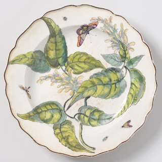"Hans Sloane" Botanical Plate (One of Twelve) Plate