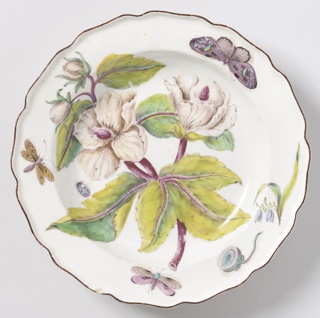 "Hans Sloane" Botanical Plate (One of Twelve) Plate