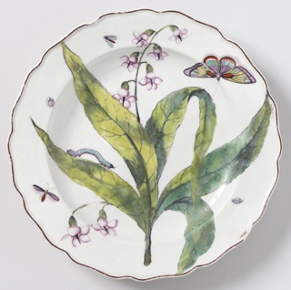 "Hans Sloane" Botanical Plate (One of Twelve) Plate