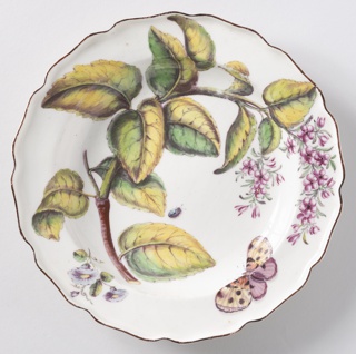 "Hans Sloane" Botanical Plate (One of Twelve) Plate