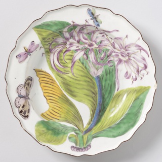 "Hans Sloane" Botanical Plate (One of Twelve) Plate