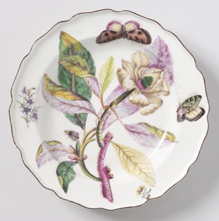 "Hans Sloane" Botanical Plate (One of Twelve) Plate