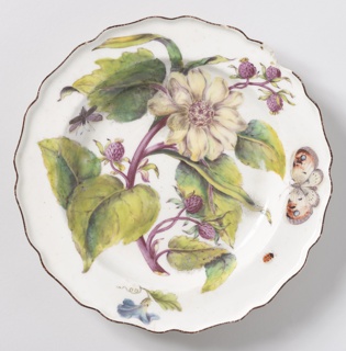 "Hans Sloane" Botanical Plate (One of Twelve) Plate