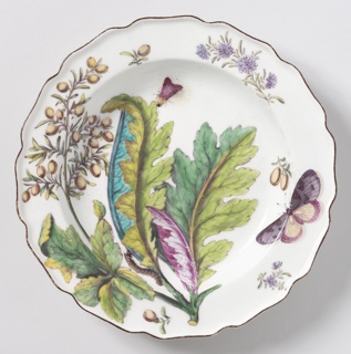 "Hans Sloane" Botanical Plate (One of Twelve) Plate