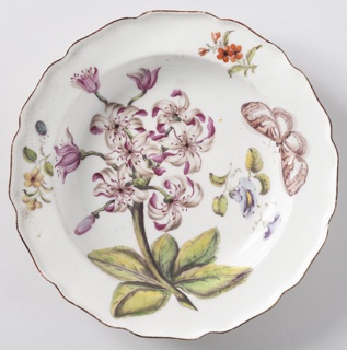 "Hans Sloane" Botanical Plate (One of Twelve) Plate