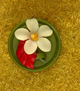 "Old Fashioned Garden" Button