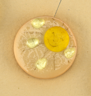 "April Showers" Button