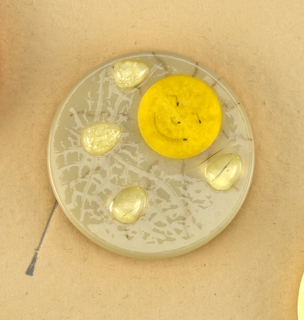 "April Showers" Button