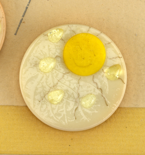 "April Showers" Button