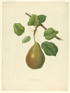 Print, The Brown Beuree